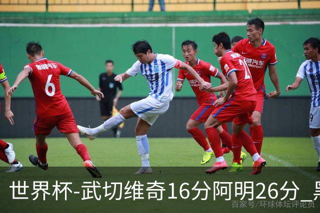 世界杯-武切维奇16分阿明26分 黑山大胜埃及