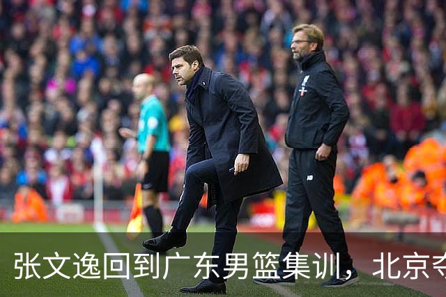 张文逸回到广东男篮集训，北京夺冠功勋确定退役，上海欲续约弗格