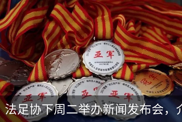 法足协下周二举办新闻发布会，介绍法国队下一任主教练
