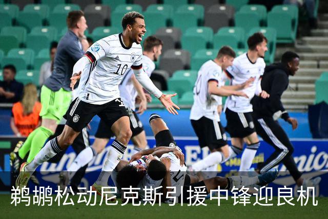 鹈鹕松动尼克斯引援中锋迎良机